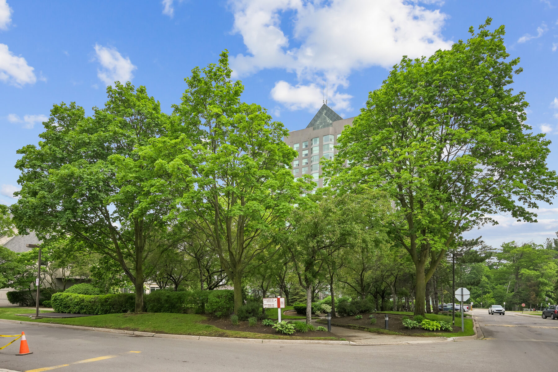 Tree-lined approach to the building