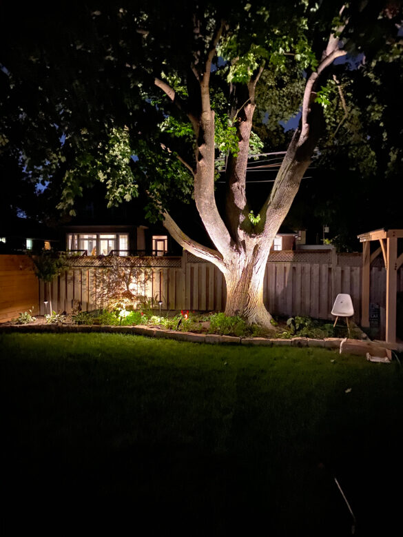The private garden illuminated at twilight