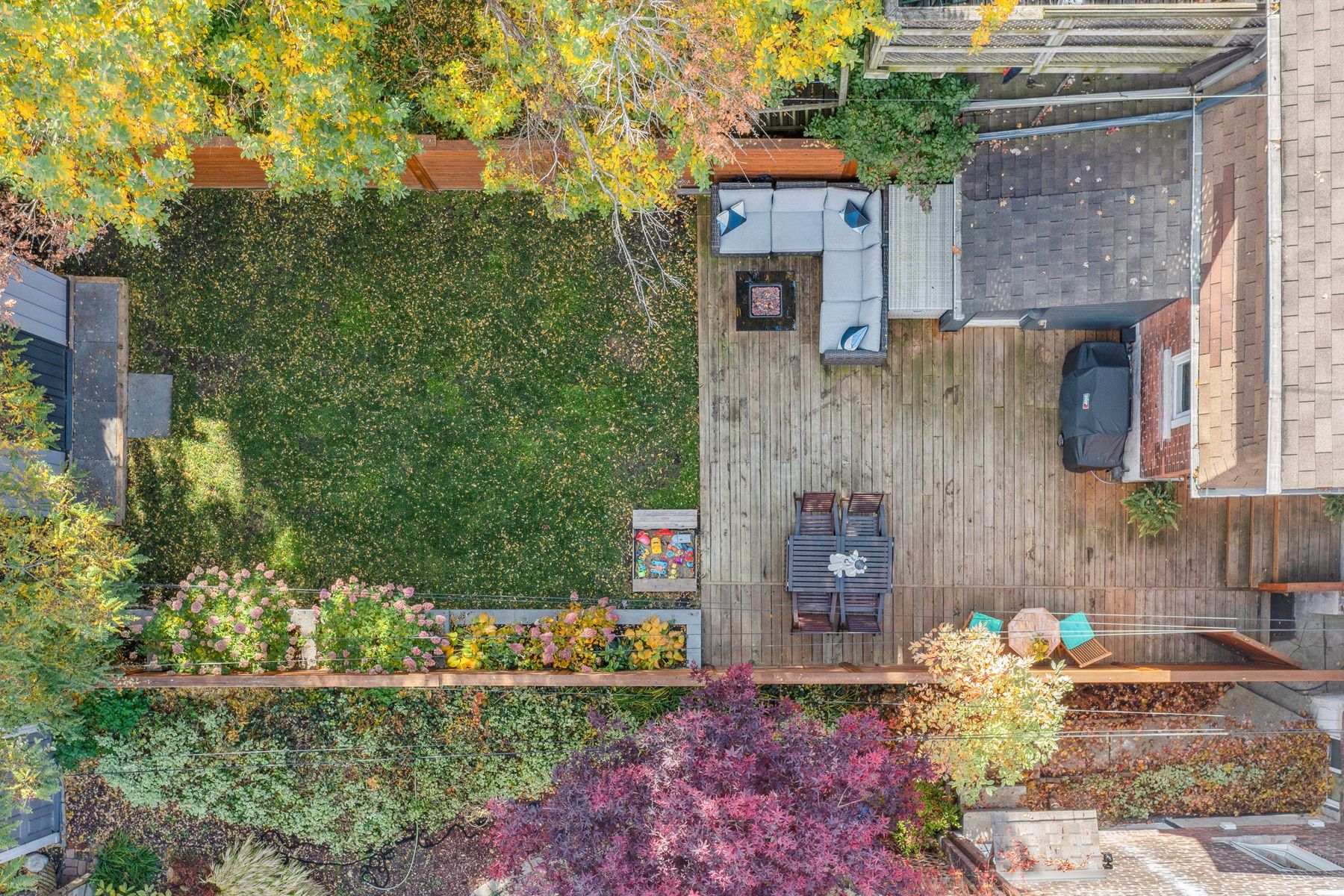 Aerial backyard