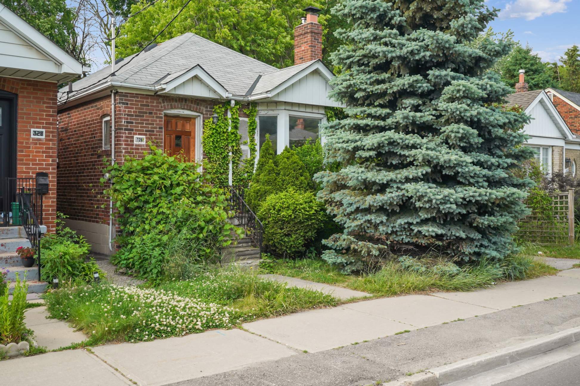 Brick bungalow street elevation with towering blue spruce