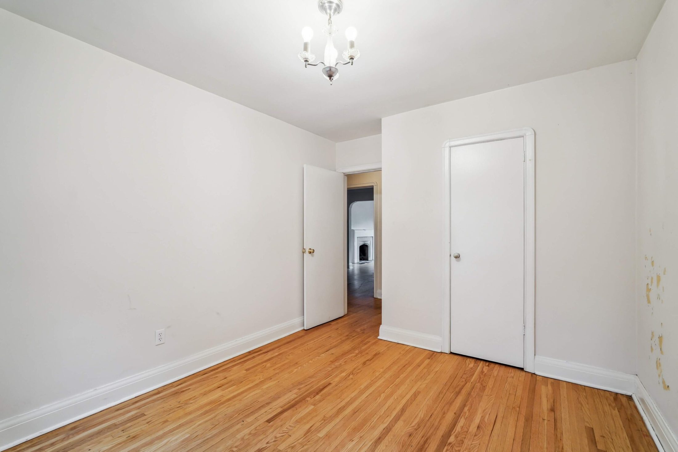 Second bedroom with hardwood floors and treetop views