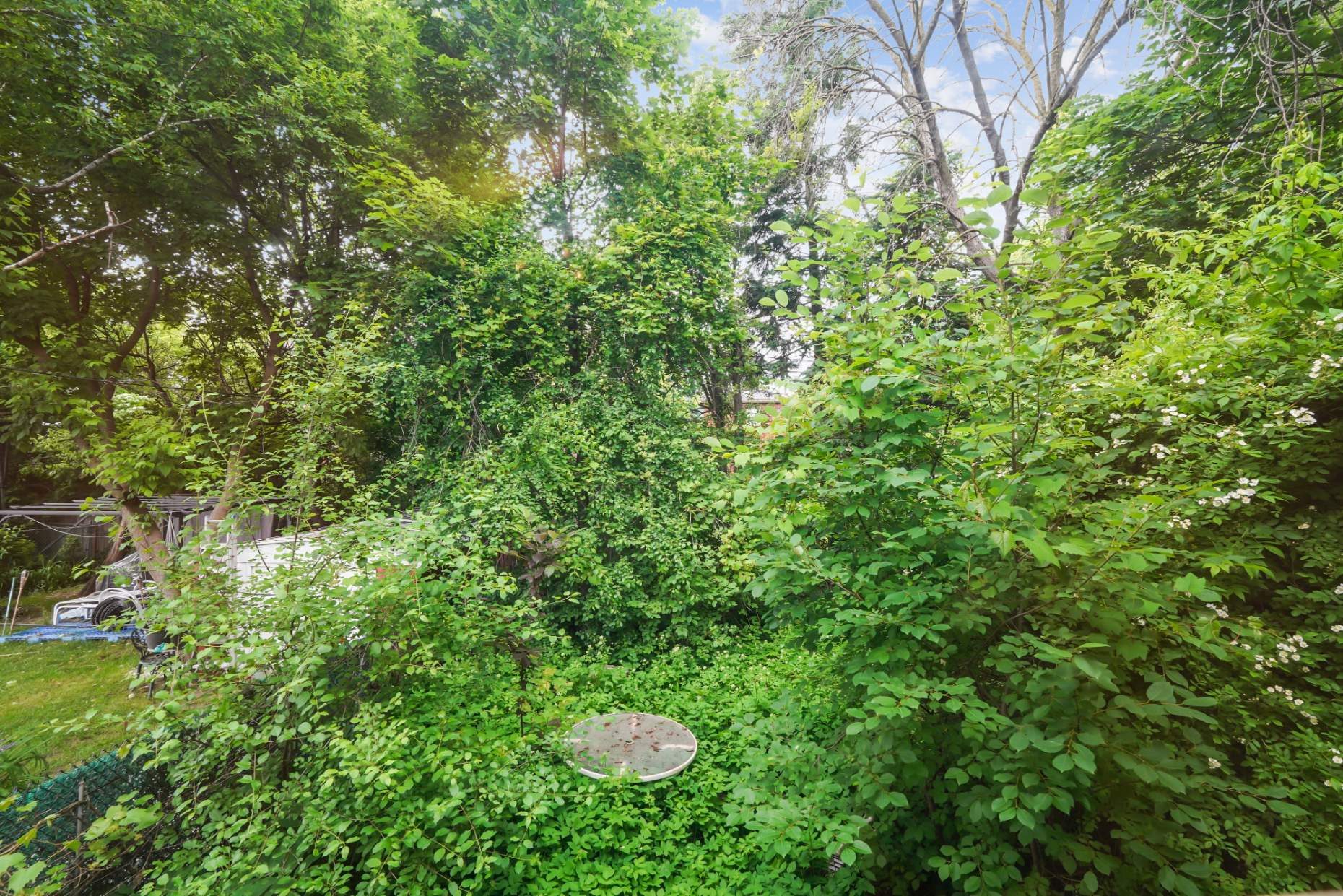 Deep, private backyard framed by mature trees