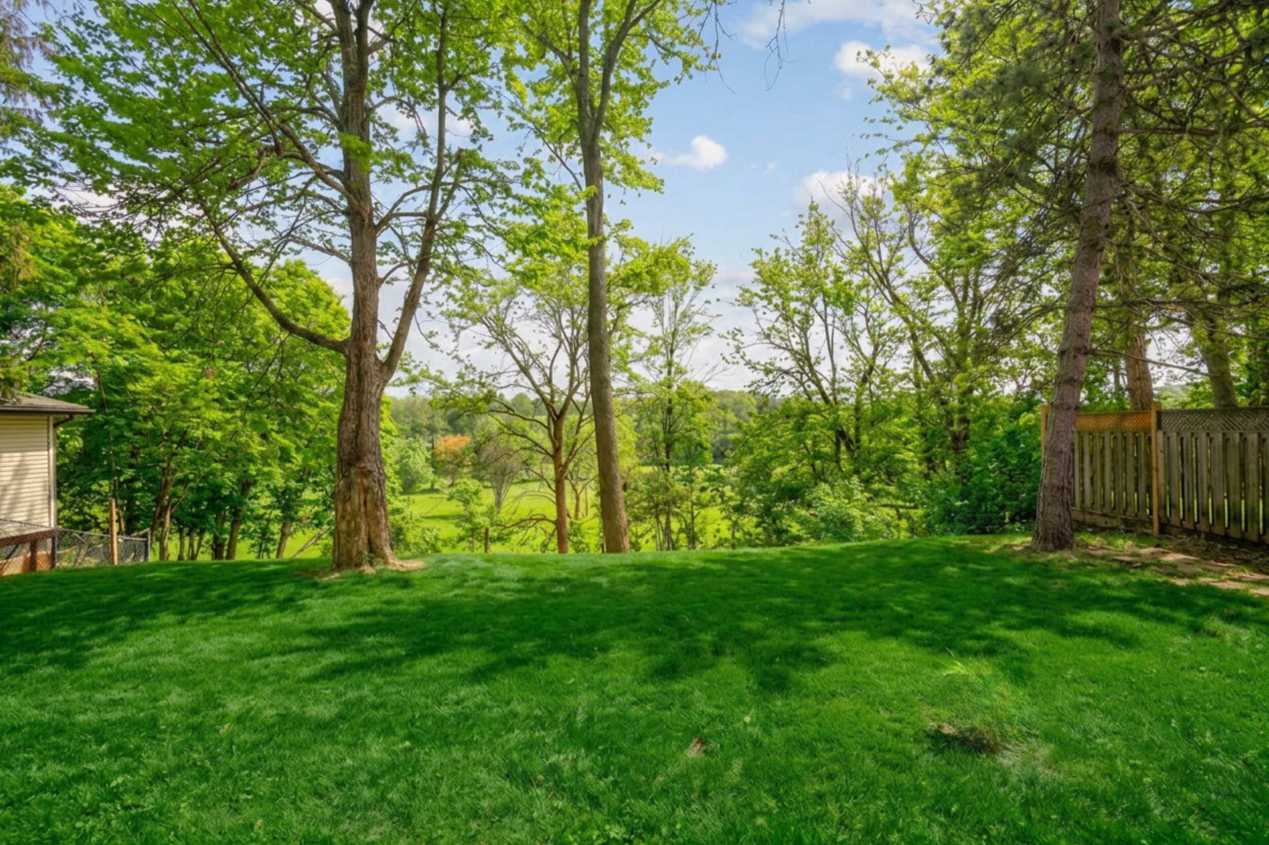 Ravine view from rear yard