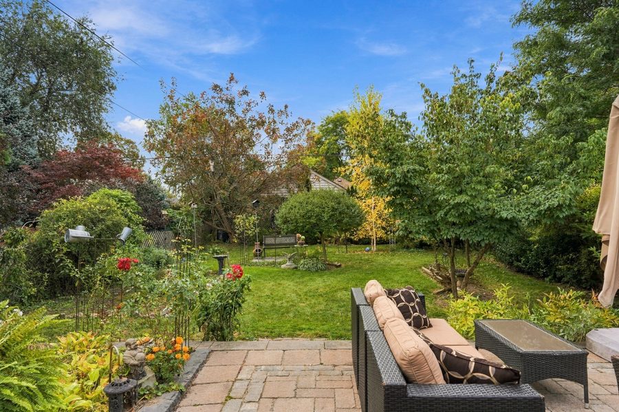 Mature south-facing back garden with lawn, perennial beds and trees