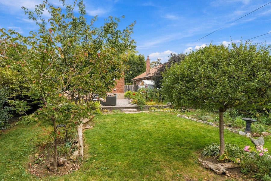 Deep back garden with fruit trees and lawn